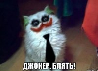 джокер, блять!