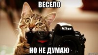 весело но не думаю