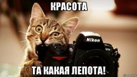 красота та какая лепота!