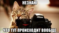 незнаю что тут происходит вообще