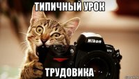 типичный урок трудовика