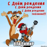  владимир