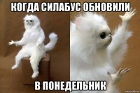 когда силабус обновили в понедельник