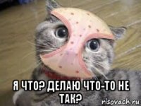  я что? делаю что-то не так?