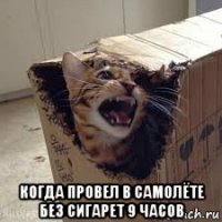  когда провел в самолёте без сигарет 9 часов