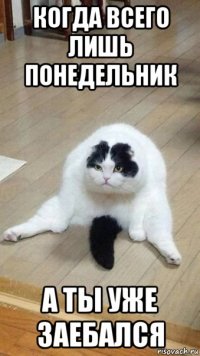 когда всего лишь понедельник а ты уже заебался