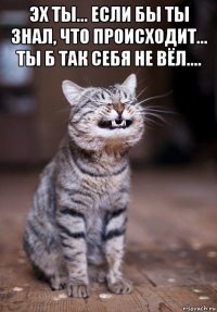 эх ты... если бы ты знал, что происходит... ты б так себя не вёл.... 