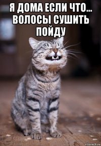 я дома если что... волосы сушить пойду 