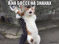 я на боссе на знаках 