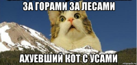 за горами за лесами ахуевший кот с усами