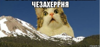 чезахеррня 