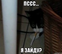 пссс... я зайду?