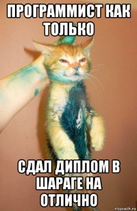 программист как только сдал диплом в шараге на отлично