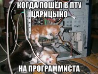 когда пошёл в пту царицыно на программиста