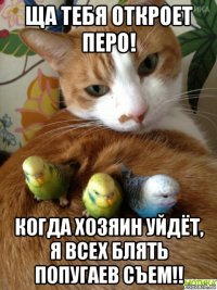 ща тебя откроет перо! когда хозяин уйдёт, я всех блять попугаев съем!!