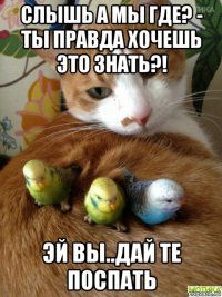 слышь а мы где? - ты правда хочешь это знать?! эй вы..дай те поспать