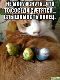 не могу уснуть...что то соседи суетятся... слышимость пипец.. 