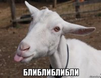 блиблиблибли