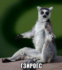  гзирогс