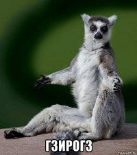  гзирогз
