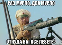 раз мурло, два мурло откуда вы все лезете?
