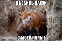 съебись нахуй с моей норы!