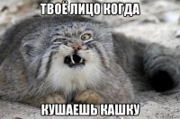 твоё лицо когда кушаешь кашку