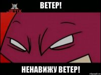 ветер! ненавижу ветер!
