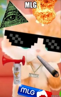 mlg 