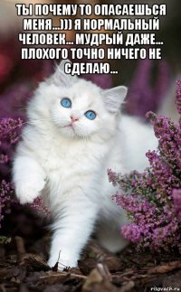 ты почему то опасаешься меня...))) я нормальный человек... мудрый даже... плохого точно ничего не сделаю... 