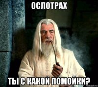 ослотрах ты с какой помойки?