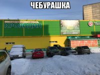 чебурашка 