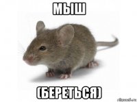 мыш (береться)