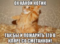 ох какой котик так бы и пожарить его в кляре со сметанкой!