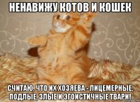 ненавижу котов и кошек считаю, что их хозяева - лицемерные, подлые, злые и эгоистичные твари!