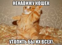 ненавижу кошек утопить бы их всех!