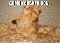 домой собираюсь... 