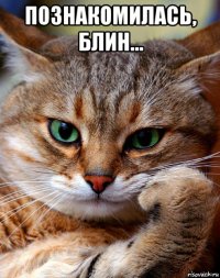 познакомилась, блин... 