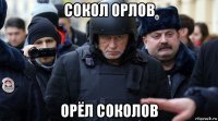 сокол орлов орёл соколов