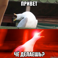 привет чё делаешь?