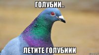 голубии.. летите голубиии