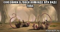 союзники в твоей команде при виде топа 
