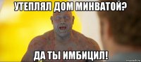 утеплял дом минватой? да ты имбицил!
