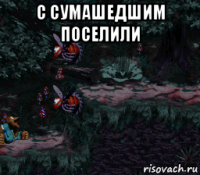 с сумашедшим поселили 