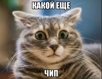 какой еще чип