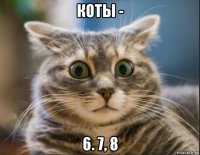 коты - 6. 7, 8