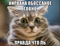 нирвана обоссаное говно правда что ль