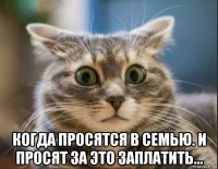  когда просятся в семью. и просят за это заплатить...