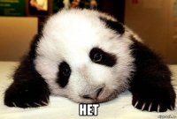  нет
