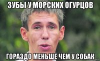 зубы у морских огурцов гораздо меньше чем у собак